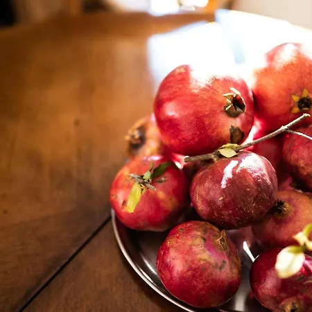 Ξενοδοχείο πέλοψ 3*