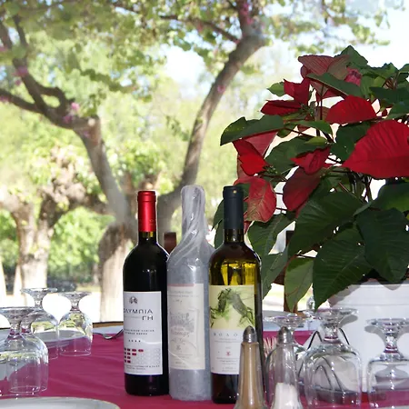 Ξενοδοχείο πέλοψ Ολυμπία