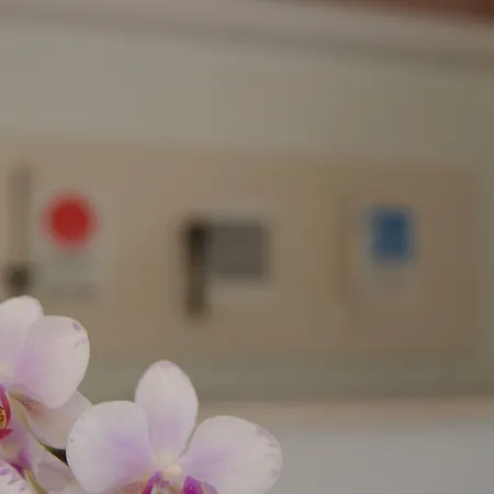 πέλοψ Ξενοδοχείο Ολυμπία