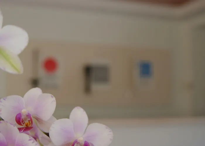 Pelops Hotel Ancient Olympia